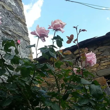 Panzió A Ca Gianca Borzonasca
